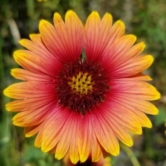 Meet your Posher, Christine - Picture 1 of 1